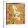 Flora del Rey I-Paul Brent-Framed Art Print