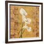 Flora del Rey I-Paul Brent-Framed Art Print