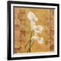 Flora del Rey I-Paul Brent-Framed Art Print