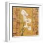 Flora del Rey I-Paul Brent-Framed Art Print