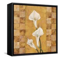 Flora del Rey II-Paul Brent-Framed Stretched Canvas