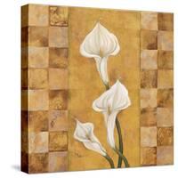 Flora del Rey II-Paul Brent-Stretched Canvas