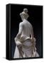 Flora, Detail of the Rear Part, 1838-40 (Marble)-Pietro Tenerani-Framed Stretched Canvas