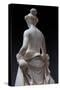 Flora, Detail of the Rear Part, 1838-40 (Marble)-Pietro Tenerani-Stretched Canvas