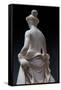 Flora, Detail of the Rear Part, 1838-40 (Marble)-Pietro Tenerani-Framed Stretched Canvas