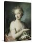 Flora, Half Length, Holding Plums-Rosalba Giovanna Carriera-Stretched Canvas