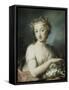 Flora, Half Length, Holding Plums-Rosalba Giovanna Carriera-Framed Stretched Canvas