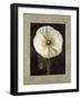 Flora I-Andrea Trivelli-Framed Art Print