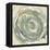 Flora II-Sisa Jasper-Framed Stretched Canvas