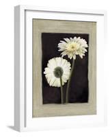 Flora II-Andrea Trivelli-Framed Art Print