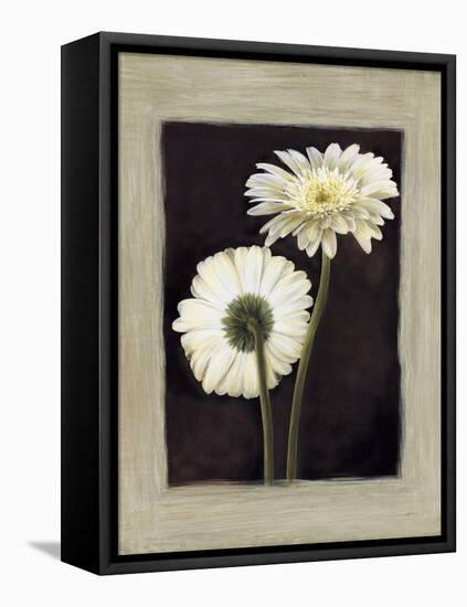 Flora II-Andrea Trivelli-Framed Stretched Canvas