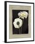 Flora II-Andrea Trivelli-Framed Art Print