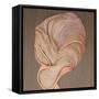 Flora II-Alma-Framed Stretched Canvas