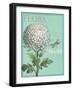 Flora Nouveau-Devon Ross-Framed Art Print