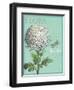 Flora Nouveau-Devon Ross-Framed Art Print