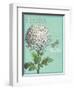 Flora Nouveau-Devon Ross-Framed Art Print