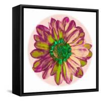 Flora Orb I-Ricki Mountain-Framed Stretched Canvas