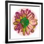 Flora Orb I-Ricki Mountain-Framed Art Print