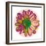 Flora Orb I-Ricki Mountain-Framed Art Print