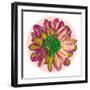 Flora Orb I-Ricki Mountain-Framed Art Print