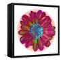 Flora Orb II-Ricki Mountain-Framed Stretched Canvas