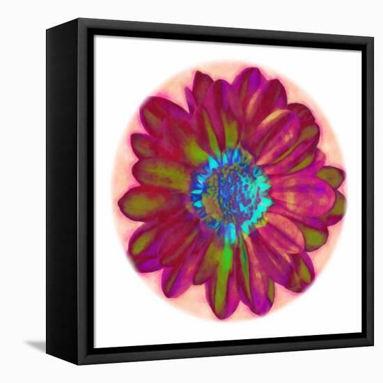 Flora Orb II-Ricki Mountain-Framed Stretched Canvas