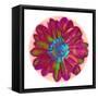 Flora Orb II-Ricki Mountain-Framed Stretched Canvas