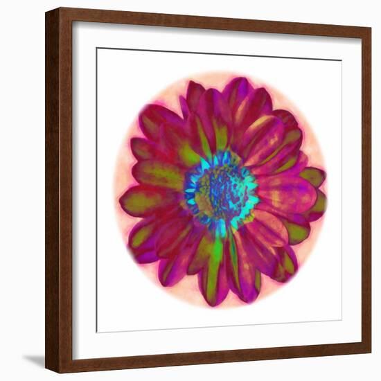 Flora Orb II-Ricki Mountain-Framed Art Print