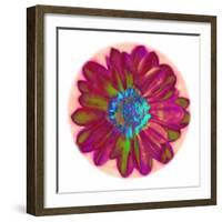 Flora Orb II-Ricki Mountain-Framed Art Print