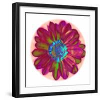 Flora Orb II-Ricki Mountain-Framed Art Print