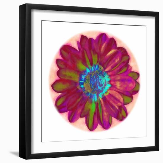 Flora Orb II-Ricki Mountain-Framed Art Print