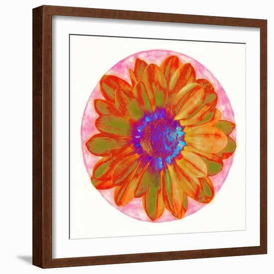 Flora Orb III-Ricki Mountain-Framed Art Print