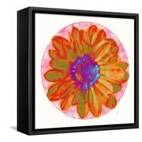 Flora Orb III-Ricki Mountain-Framed Stretched Canvas