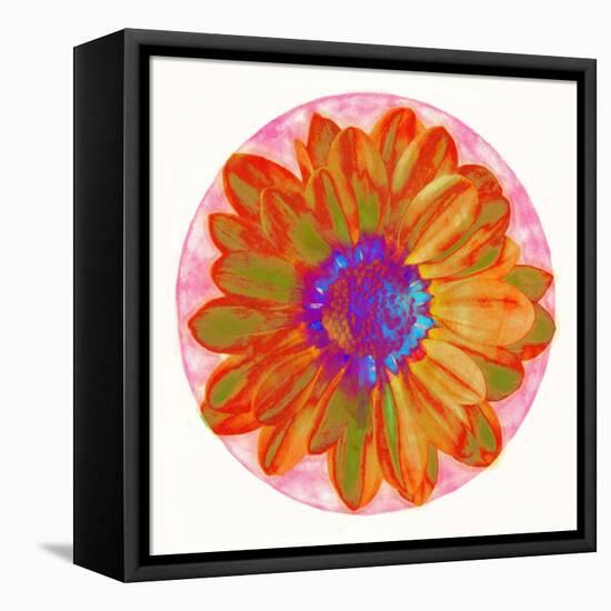 Flora Orb III-Ricki Mountain-Framed Stretched Canvas