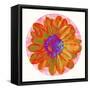 Flora Orb III-Ricki Mountain-Framed Stretched Canvas