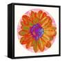 Flora Orb III-Ricki Mountain-Framed Stretched Canvas