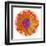 Flora Orb III-Ricki Mountain-Framed Art Print