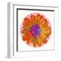 Flora Orb III-Ricki Mountain-Framed Art Print