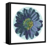 Flora Orb IV-Ricki Mountain-Framed Stretched Canvas