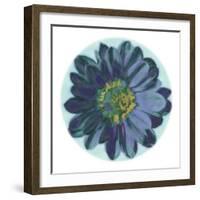 Flora Orb IV-Ricki Mountain-Framed Art Print