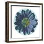 Flora Orb IV-Ricki Mountain-Framed Art Print