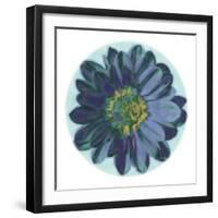 Flora Orb IV-Ricki Mountain-Framed Art Print