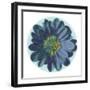 Flora Orb IV-Ricki Mountain-Framed Art Print