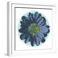 Flora Orb IV-Ricki Mountain-Framed Art Print