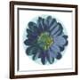 Flora Orb IV-Ricki Mountain-Framed Art Print