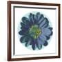 Flora Orb IV-Ricki Mountain-Framed Art Print