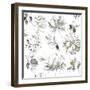 Flora Outlines-Asia Jensen-Framed Art Print