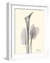 Flora Portrait 1-Albert Koetsier-Framed Art Print