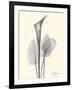 Flora Portrait 1-Albert Koetsier-Framed Art Print