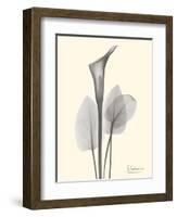 Flora Portrait 1-Albert Koetsier-Framed Art Print